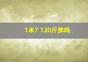 1米7 120斤胖吗